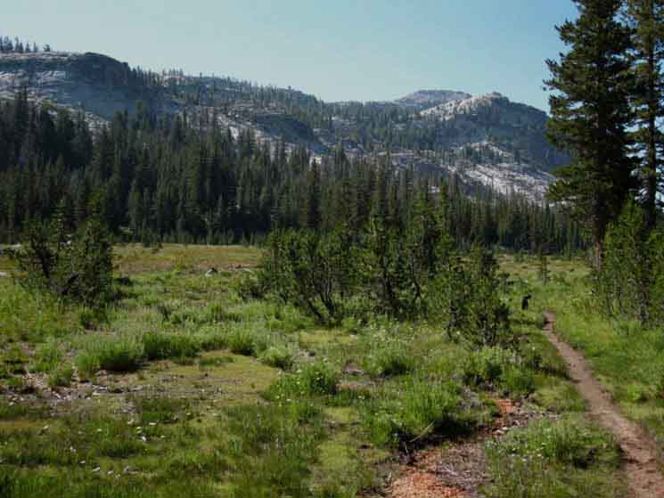South end of Grace Meadow in Jack Main Canyon, Yosemite.