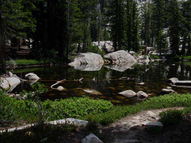 Northeast pond along Tahoe to Yosemite Trail in Seavy Pass Bowl, Yosemite National Park.