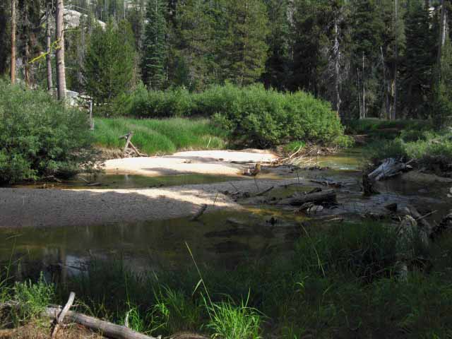 Piute creek near Bensen Lake in the North Yosemite Backcountry.