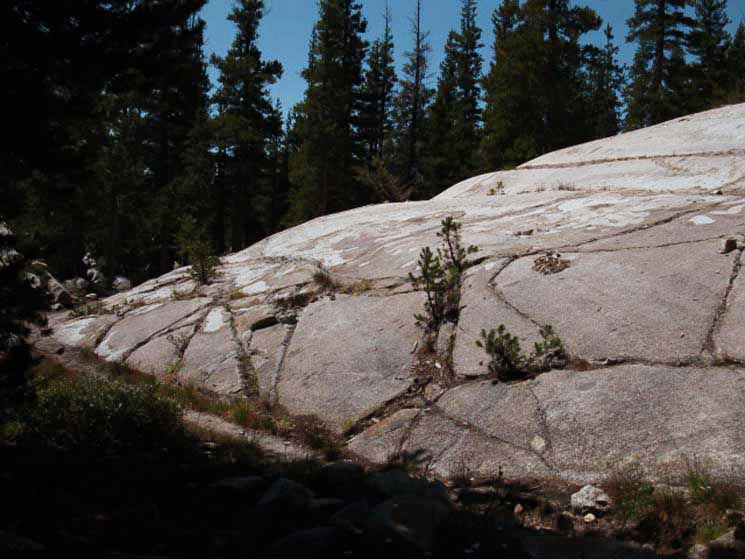 Trailside granite formation, Jack Main Canyon, Yosemite National Park.