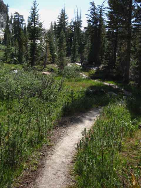 Trail across meadow in Seavy Pass Bowl.