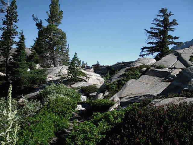 hiking South out of the Seavy Pass Bowl, Tahoe to Yosemite Trail in Yosemite.
