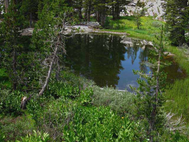 Pool off of South Pond in Seavy Pass.