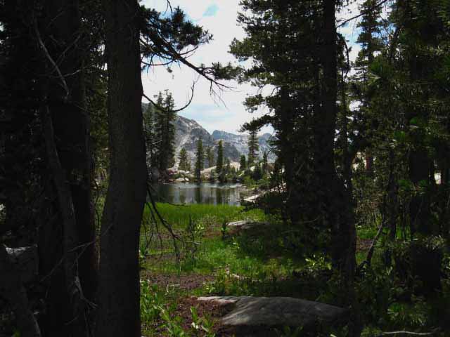 View of South pond in Seavy Pass across Meadow with granite background.
