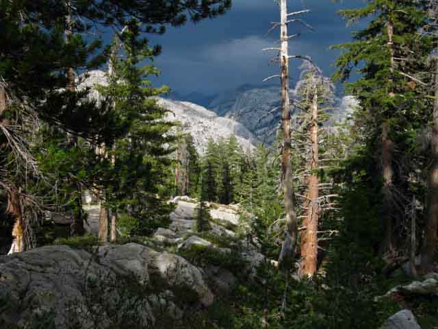 Stubblefield and Thompson Canyons in North Yosemite Backcountry backpacking Pacific Crest Trail.