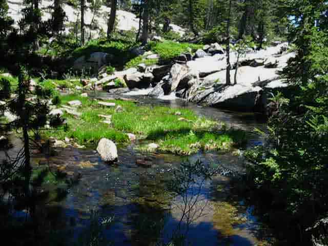Tilden Creek below Tilden Lake outlet, backpacking Yosemite National Park.
