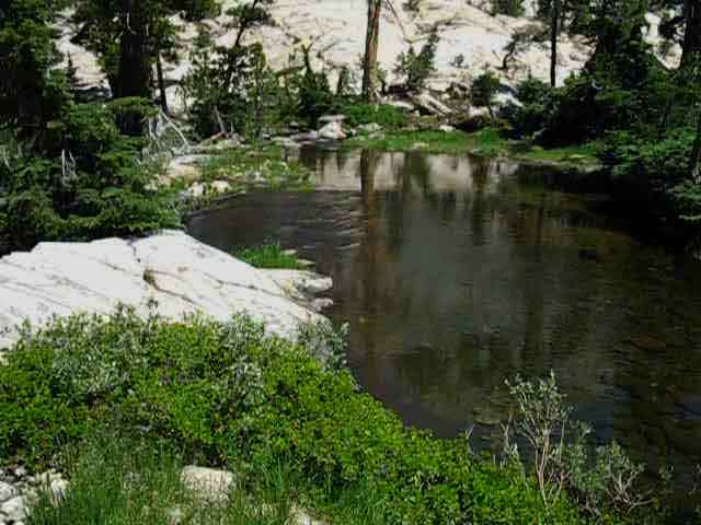 Tilden Creek's outflow point from Tilden Lake backpacking  in Yosemite.