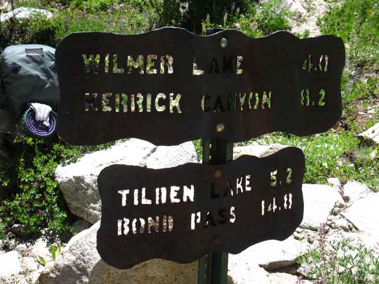 Trail North to Tilden Lake from Tilltill Valley.