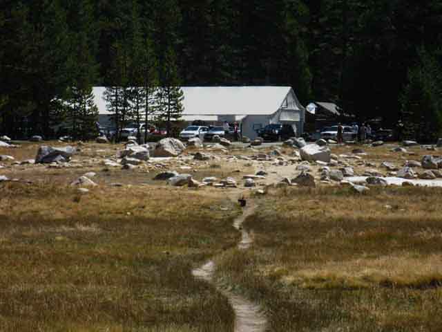 Tuolumne Meadow store, Post Office, and Cafe along the Pacific Crest Trail.