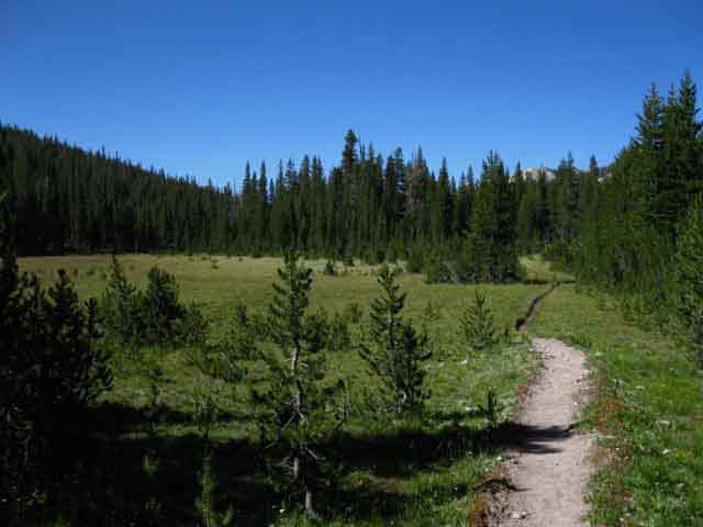 Upper Cold Canyon widens out into expansive meadow.