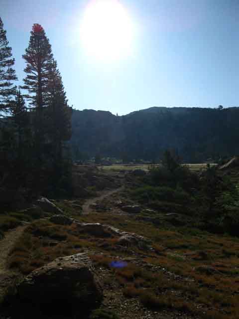 Entering upper meadow below North flank of Bensen Pass, Yosemite National Park.