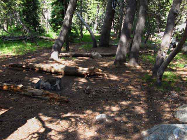 Campsite on East shore of Wilmer Lake>