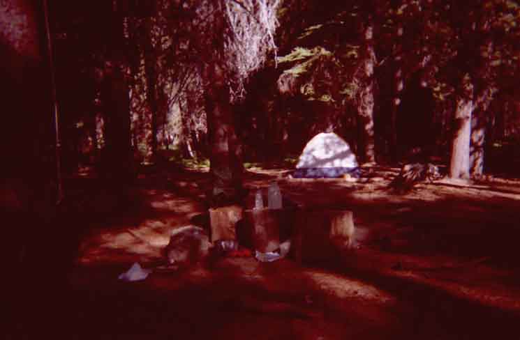 Stubblefield Canyon Campsite in 2001 or 02.