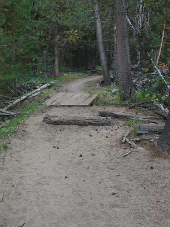 Trail protection in East Echo Valley, Yosemite National Park.
