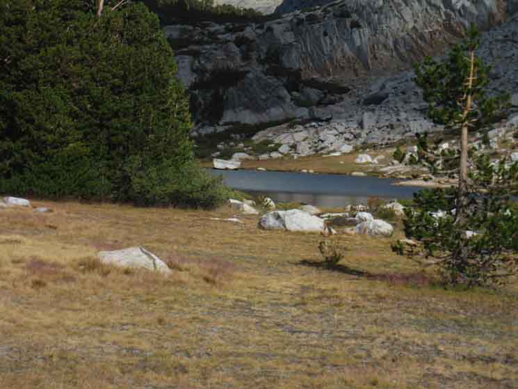 Fletcher Lake near Vogelsang in Yosemite.