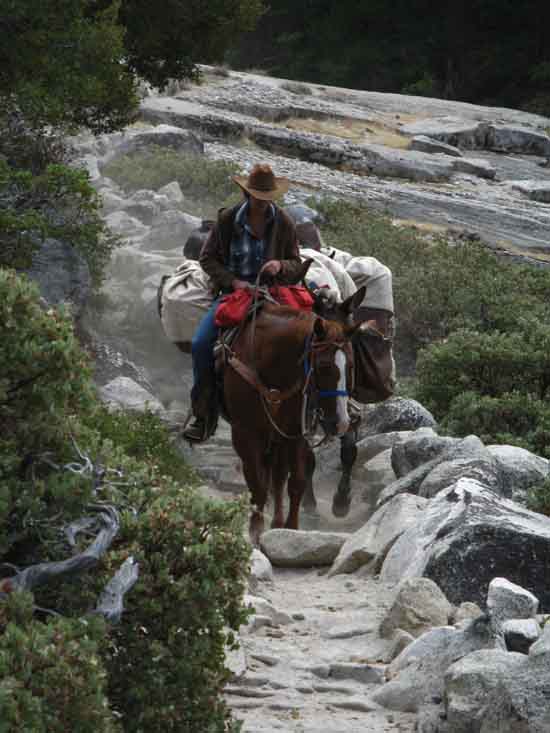 Horsepacker decending Merced River between Lost Valley and Little Yosemite Valley.
