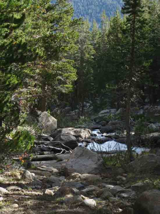Backpacking Ireland Creek in Yosemite.