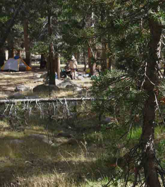 More campers at the Ireland Lake junction in Lyell Canyon.