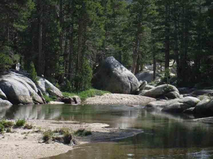 Lyell Fork of the Tuolumne River.
