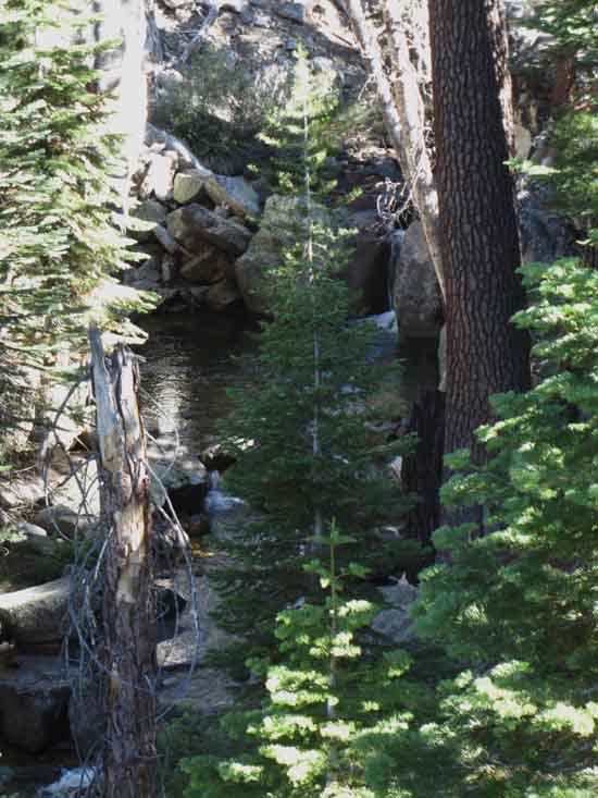 Lewis Creek, Yosemite.