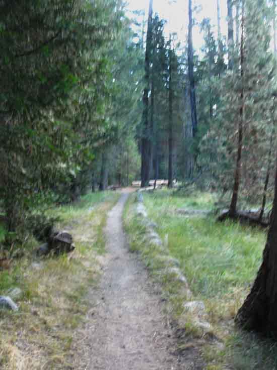 Trail East towards Merced Lake through Little Yosemite Valley.