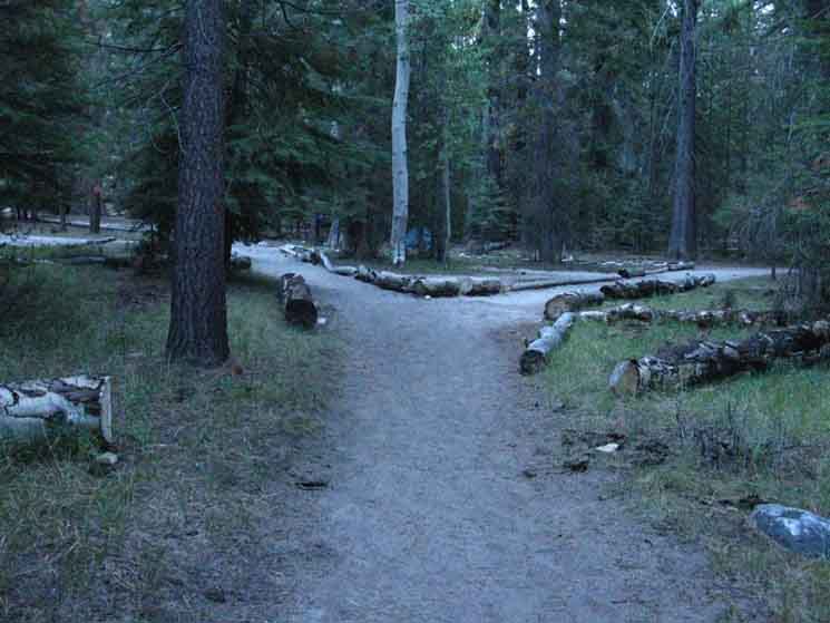 Trail splits between Merced Lake Backpackers and High Sierra Camps.