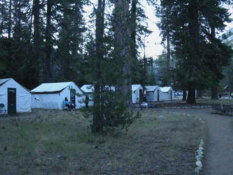 One row of Merced Lake High Sierra Camp tents.