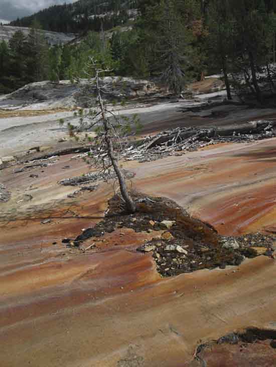 Rust streaked granite marks creek overflow, Spring runoff patterns.
