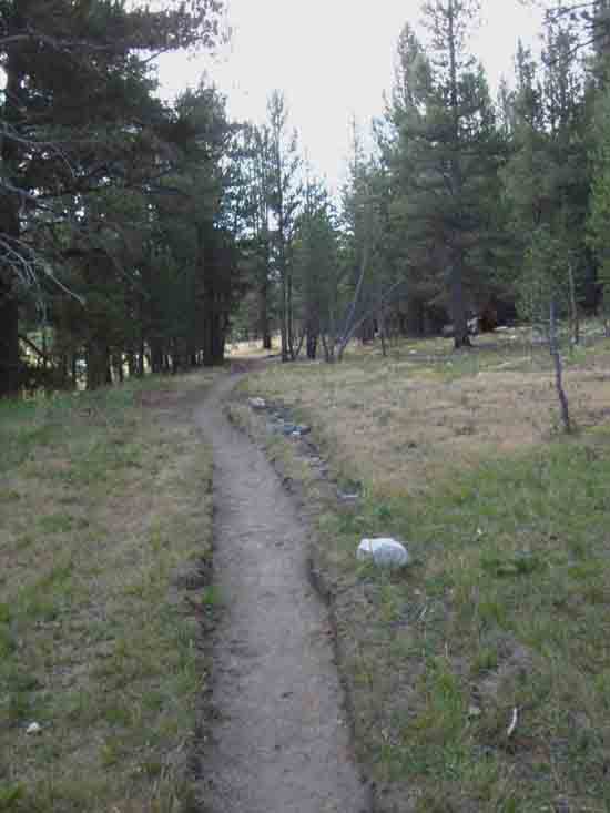 Trail to the end of Lyell Canyon from Ireland Creek trail junction.