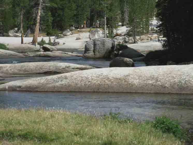 The Lyell Canyon of the Tuolumne River.