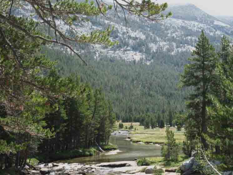 Tuolumne River in Lyell Canyon with Kuna Crest rising in background.