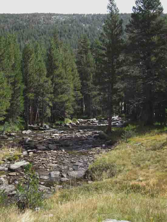 The upper run of the Tuolumne River in Lyell Canyon.
