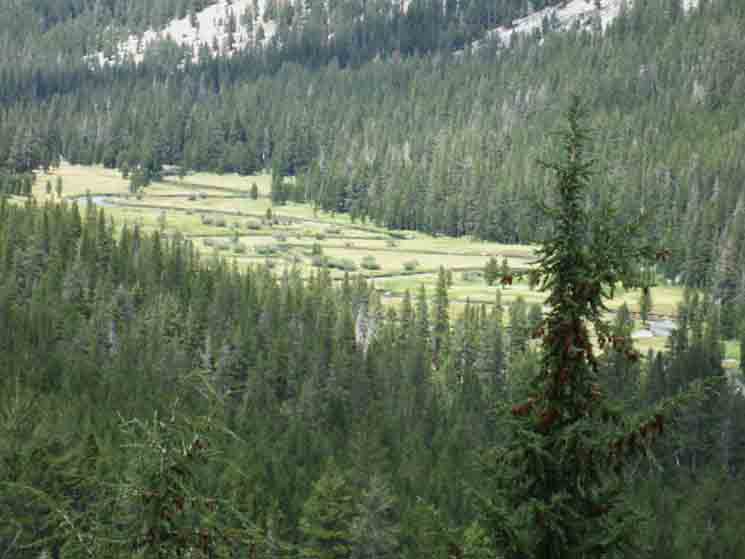 Upper Lyell Canyon meadow viewed from above as we climb to Donohue Pass.