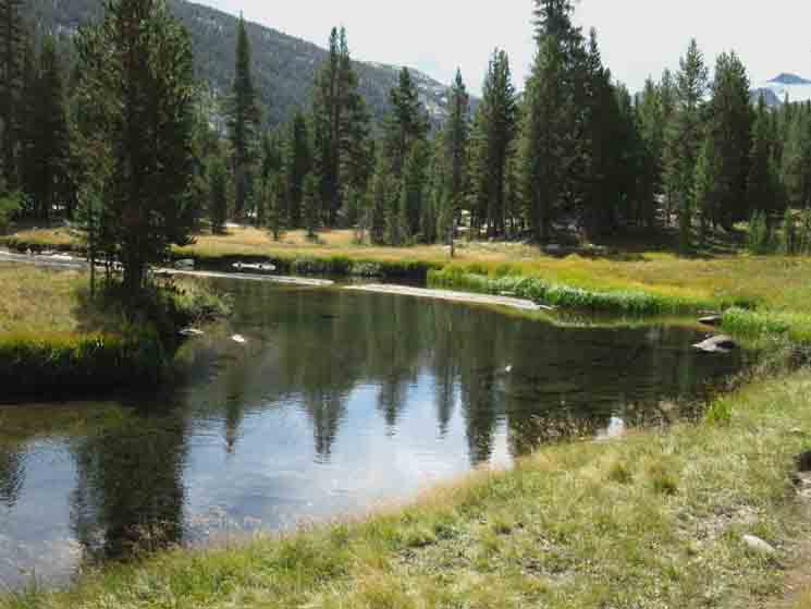 Upper placid waters of the Tuolumne River in Lyell Canyon.