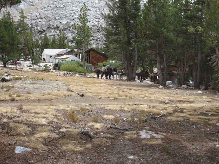 Vogelsang High Sierra Camp facilities with horses and hikers.