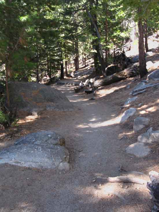 Very well trod trail from Little Yosemite Valley to the Half Dome junction on the John Muir Trail.