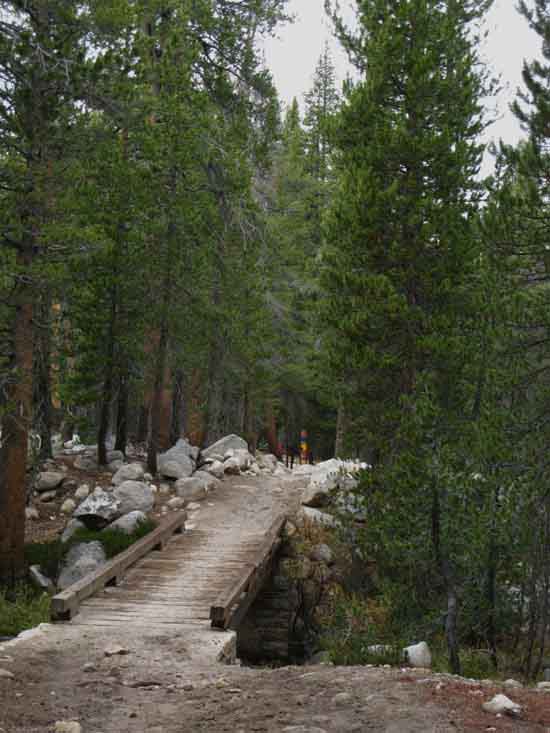 Bud Creek Bridge approaching the Yosemite Wilderness Boundary.