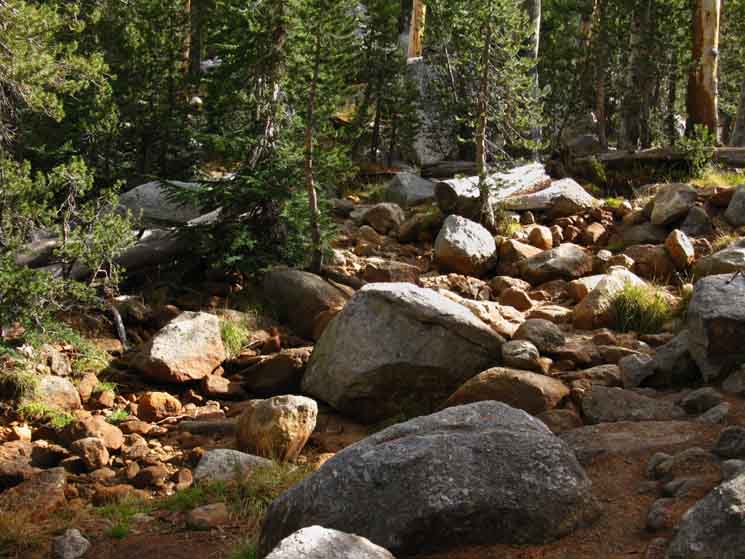 Creek from John Muir Trail to Lower Cathedral Lake in Yosemite Wilderness.