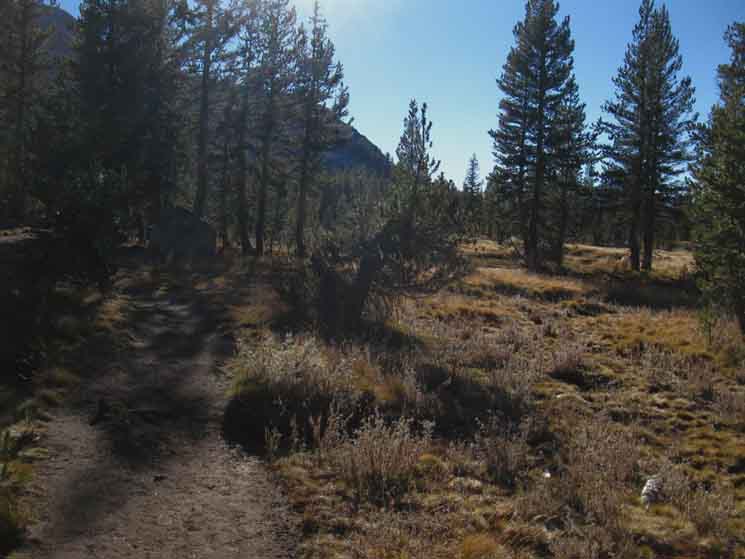 Westbound entering meadow around East Shore of Lower Cathedral Lake.