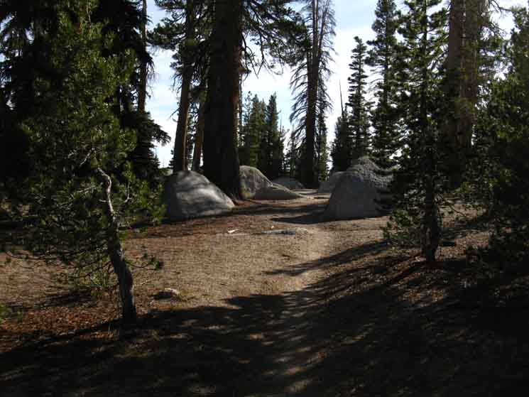 Boulders and decending forest at the top of Sunrise Creek.