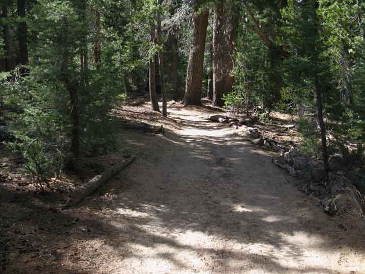 Heavy traffic breaks down to a sandy trail up to Cathedral Lake.