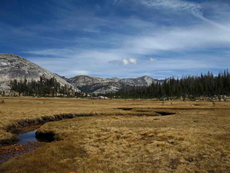 Looking Southeast while resting in Lower Long Meadow, Yosemite National Park.
