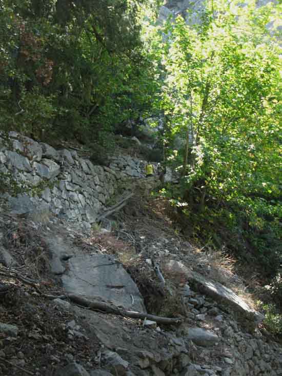 Extensive switchbacks from the middle Mist Trail junction to the lowest Mist Trail junction.