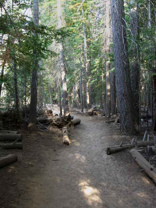 John Muir Trail through Little Yosemite Valley.