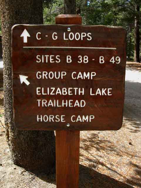 Tuolumne Meadows Campground Road South to Elizabeth Lake Trailhead.