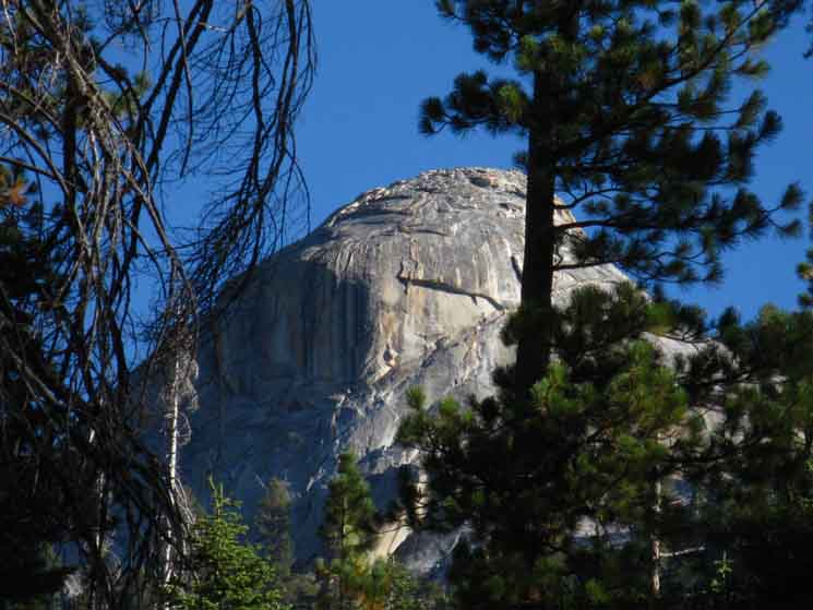 Unique texture and color on Yosemite granite.