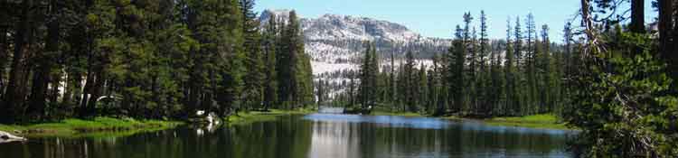 Tilden Lake, Tahoe to Yosemite Trail, Yosemite National Park.