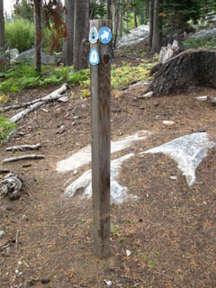 Full trail post, PCT/Tahoe-Yosemite sign post