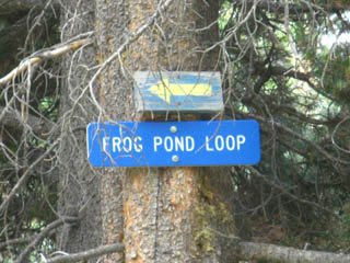 Frog Lake snow loop sign, high in tree, Detail