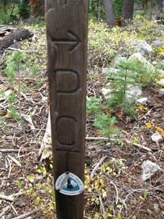 South end of Adventure Mountain trail sign post, full view